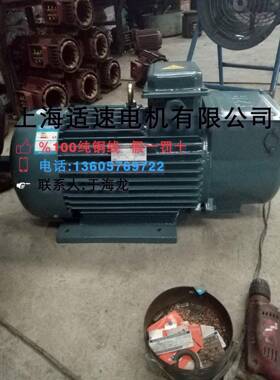 电机厂家供应YZR355L2-10185W起重及冶金用三相异步电动机
