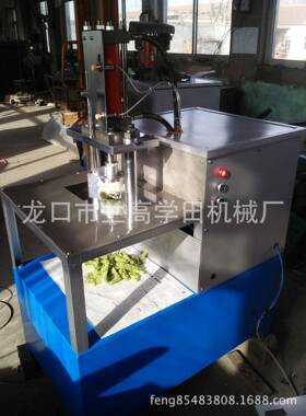 生产销售GF96-80A液压果脯切丁机切丁机