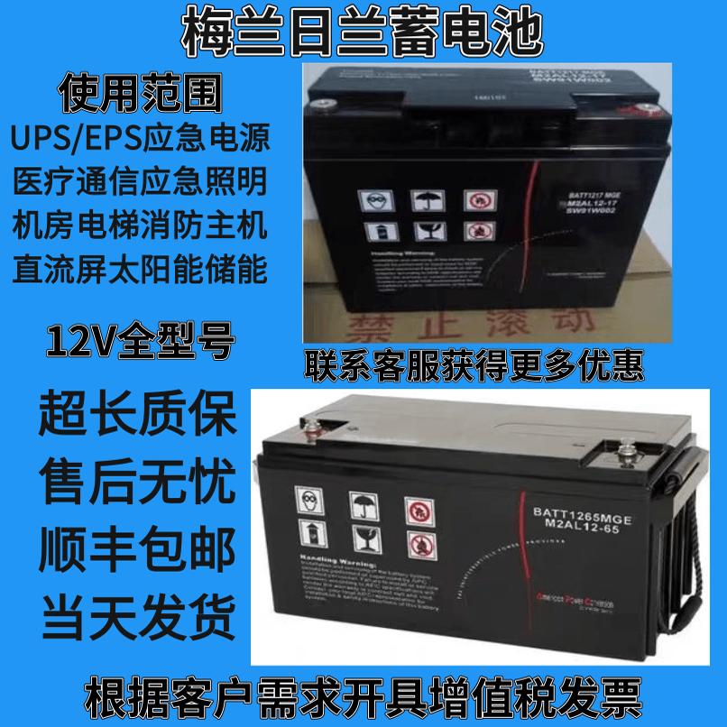 施耐德梅兰日兰蓄电池M2AH12V17A24AH38A65AH100A120AH直流屏应急