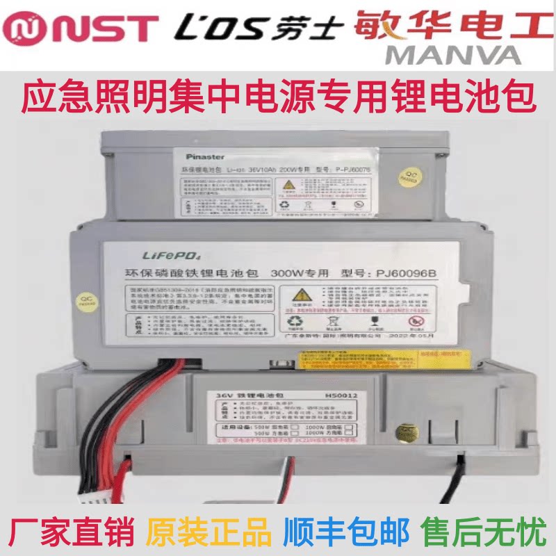 拿斯特锂电池36V10AH24A200W500W48AH敏华捞士应急照明集中电源用