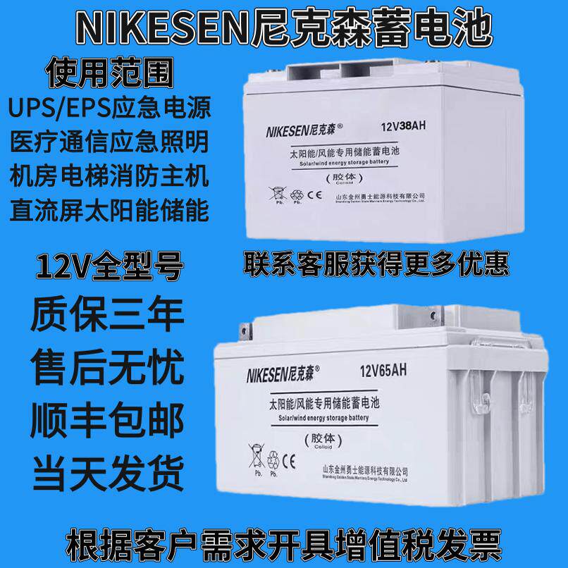 NIKESEN尼克森蓄电池12V24AH38A65A100A150AH太阳能路灯直流屏UPS