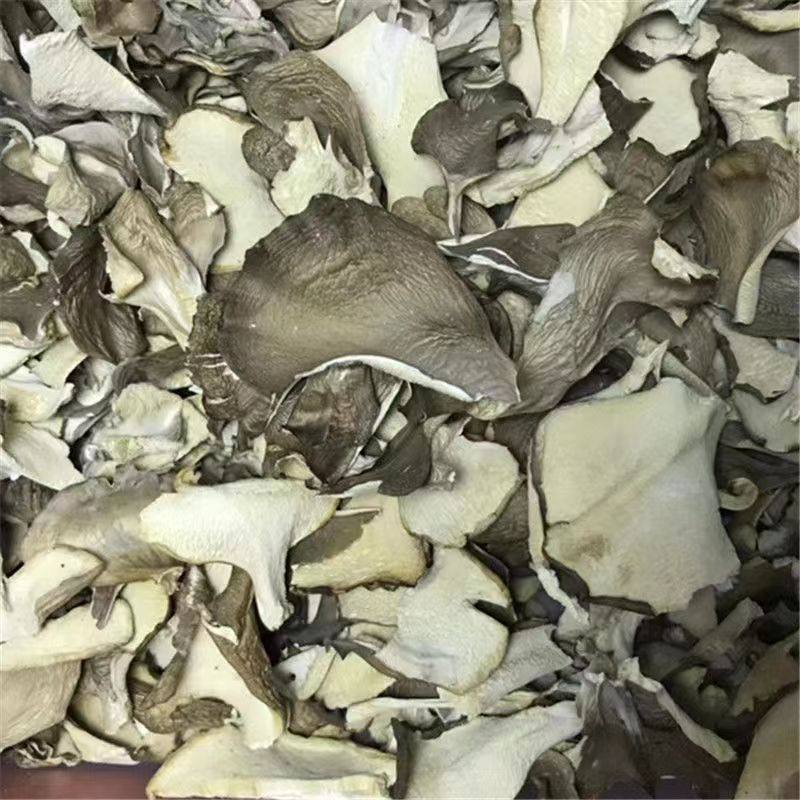 庆元灰树花干货无泥沙灰树菇舞茸茶菊花菌500g栗蘑新鲜灰树花包邮,传统滋补营养品,其他药食同源食品,淘宝优惠券,粉丝福利购,淘宝优惠卷