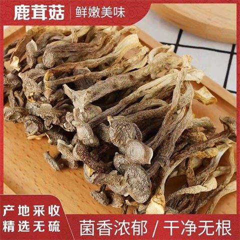 鹿茸菇干货500g包邮鹿茸菌非净重鹿茸菇云南特产脆脆菇煲汤材香菇,粮油调味/速食/干货/烘焙,香菇类,淘宝优惠券,粉丝福利购,淘宝优惠卷