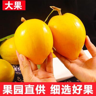蛋黄果新鲜云南特产鸡蛋果