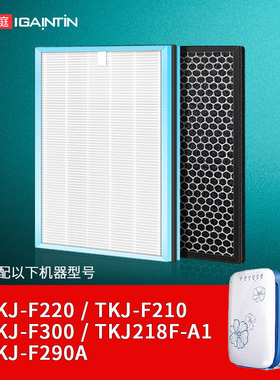 适配TCL空气净化器滤网TKJ-F220A 220B F290B 300A 315A F320滤芯