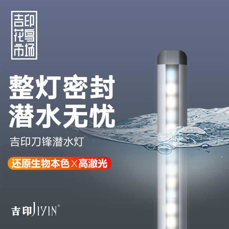 吉印两用增艳全光谱超亮潜水灯图片