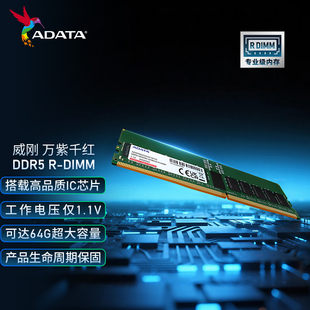 威刚服务器内存Hynix Adie大容量高速绿色内存条IC颗粒