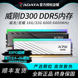 C30海力士 6000c28 RGB内存灯条 500G吹雪DDR516Gx2 威刚龙耀D300