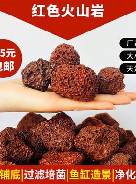 天然红色火山石水族过滤材料鹦鹉罗汉鱼缸铺底净水造景大块火山岩