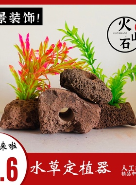 水草固定种植红色火山石水草定植环鱼缸造景装饰水草定植水草底座