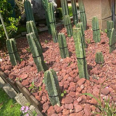 3-5厘米红色火山石古法养鱼原生缸火山岩铺底过滤培菌园林铺地