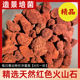 红色火山石假山过滤培菌水族滤材大块造景火山岩罗汉鹦鹉鱼铺底