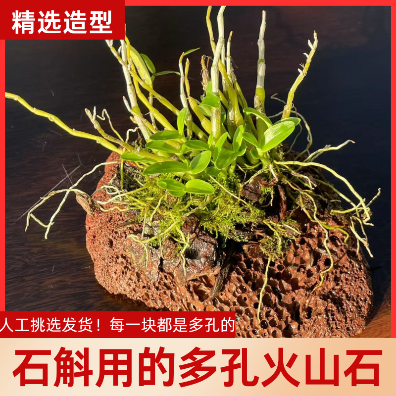精选火山石石斛种植天然多孔岩石