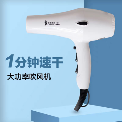 S1吹风机芭比迪丝超大功率风沙漠风暴电吹风发廊不伤发冷热风筒