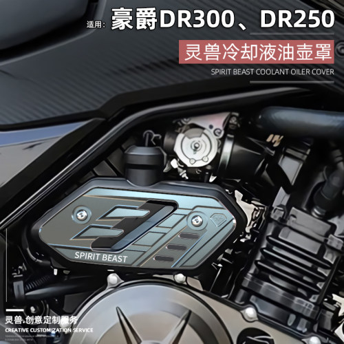 改装摩托车冷却液水壶盖灵兽