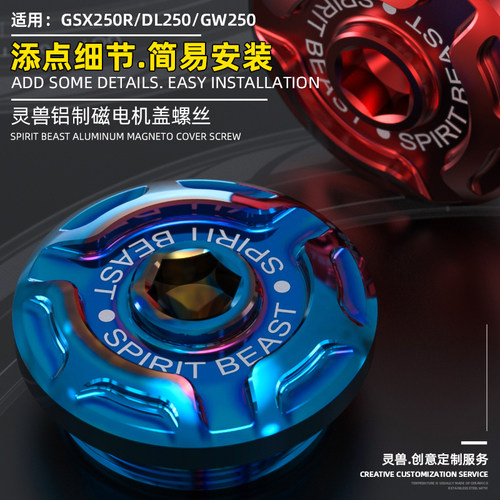 gsx250r改装铃木发动机磁电机