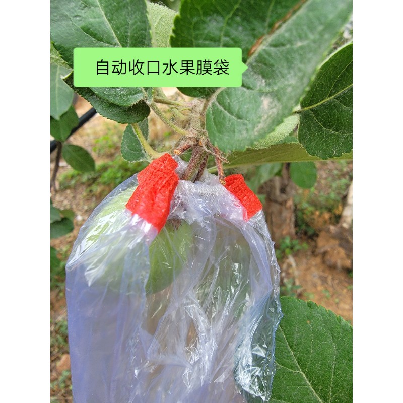 自动水果套袋机 橡皮筋收口设计水果套袋/果袋
