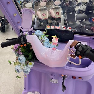 适用金彭雪宝三轮车装饰金鹏电动车蝴蝶结装饰小配件su7豆奇豆宝