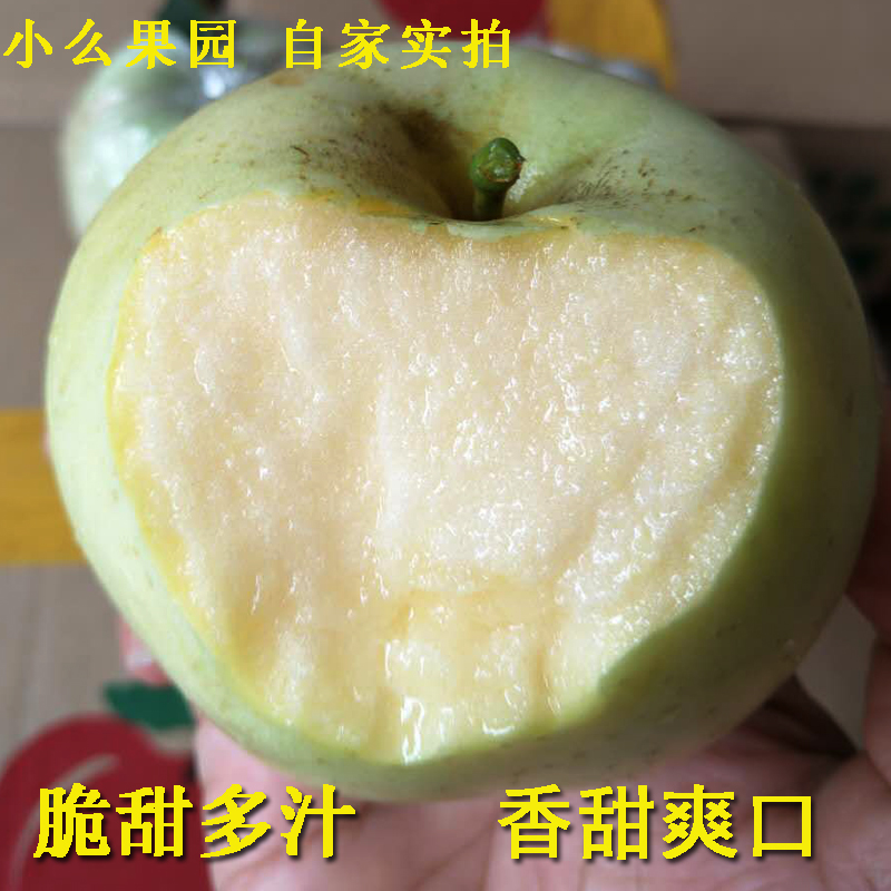 山东正宗奶油富士青苹果新鲜孕妇水果美味现摘五斤包邮脆甜多汁