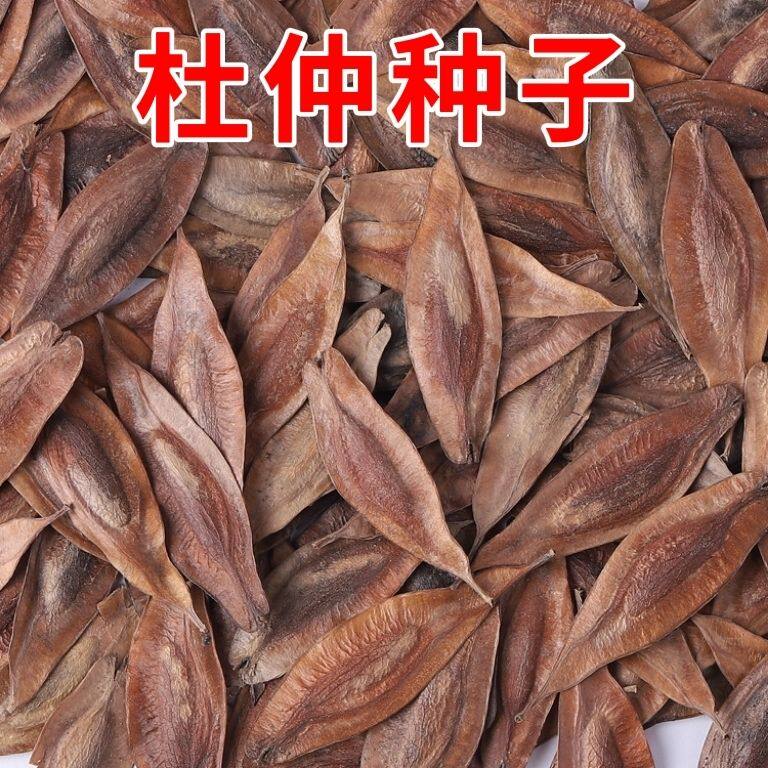 精选杜仲种子杜仲树种子新采杜仲种籽材杜仲丝棉皮胶树多年生