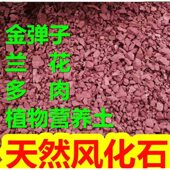 四川天然风化石颗粒风化土金弹子多肉茶花兰花渗水透气酸性营养土