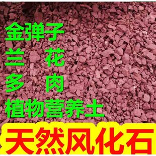 四川天然风化石颗粒风化土金弹子多肉茶花兰花渗水透气酸性营养土