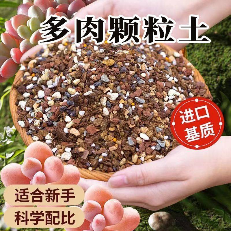 高端多肉植物专用颗粒土疏松营养土法师九尾狐促进多肉发根生长土,鲜花速递/花卉仿真/绿植园艺,土壤覆盖物,淘宝优惠券,粉丝福利购,淘宝优惠卷
