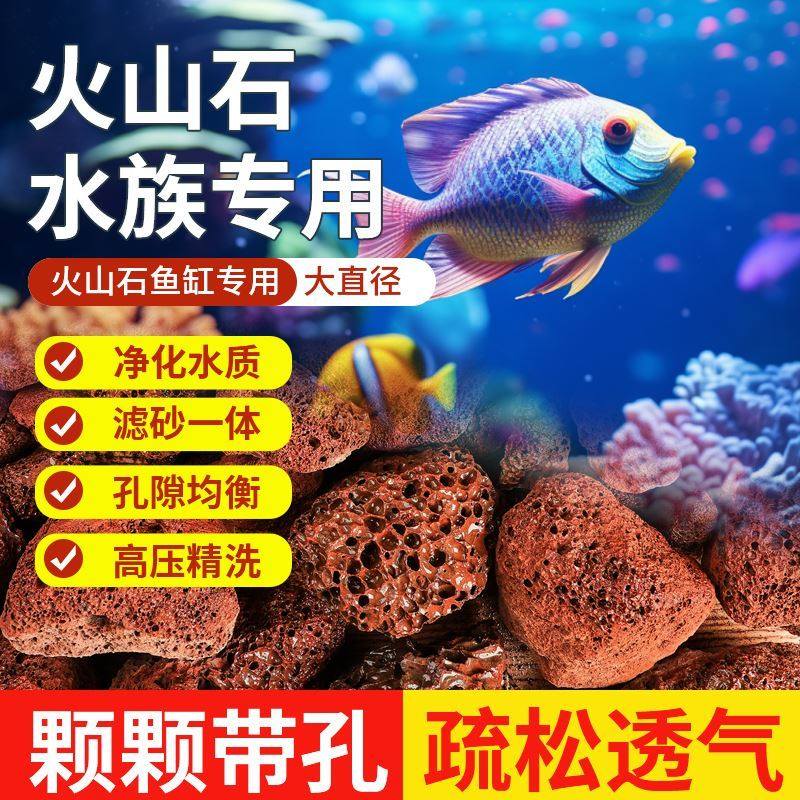 天然火山石颗粒红火山岩底砂多肉兰花石鱼缸专用营养土滤材铺面石,鲜花速递/花卉仿真/绿植园艺,家庭园艺肥料,淘宝优惠券,粉丝福利购,淘宝优惠卷
