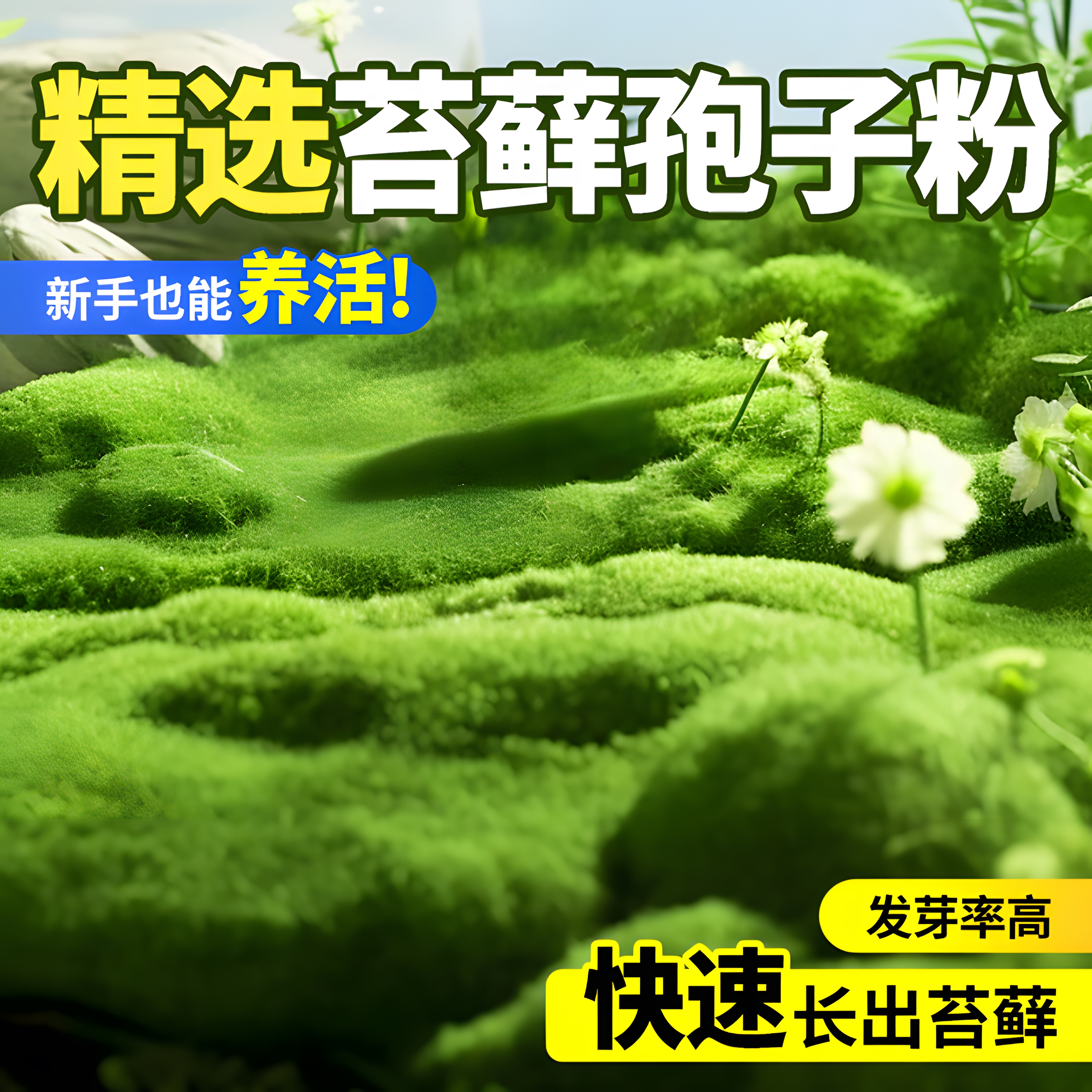 苔藓孢子粉种子粉耐晒青苔吸水石假山上水植物附石草花盆铺面草籽