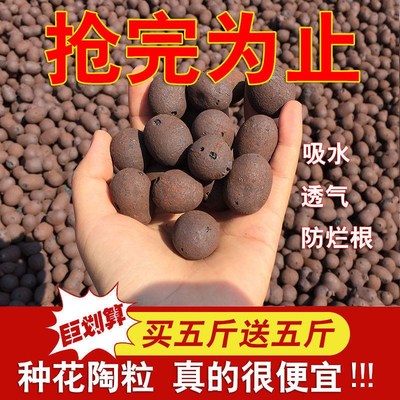 陶粒球花盆陶粒回填化妆室垫底园艺陶土营养颗粒多肉种植养花铺面