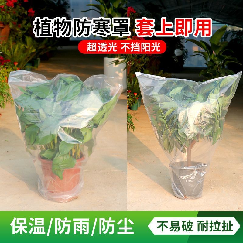 冬季植物防寒袋透气防冻防霜果树保温袋橘子树山茶树防风塑料薄膜