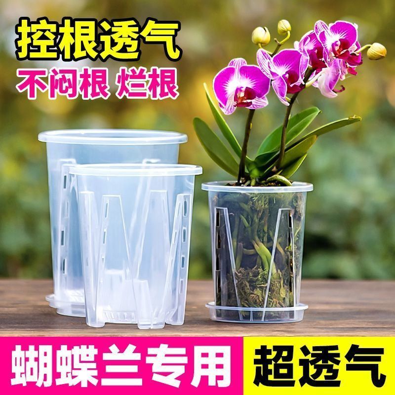 透明新款花盆青山控根盆水苔蝴蝶兰加厚塑料家用兰花绿植花架花箱