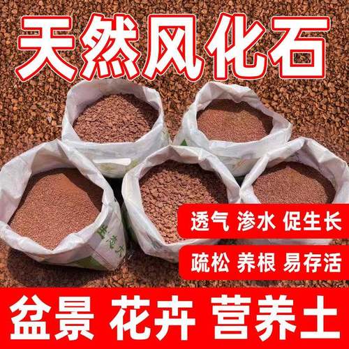 风化土四川天然风化石盆景营养土酸性红土园艺土生根渗水保湿透气