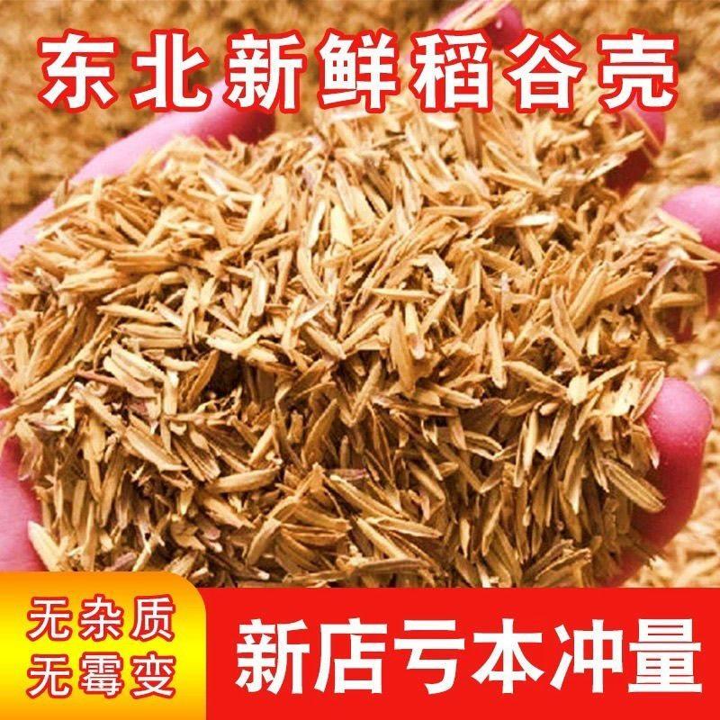新鲜现磨稻壳谷壳发酵酿酒稻壳枕头填充芦丁鸡垫料花卉营养土清仓,鲜花速递/花卉仿真/绿植园艺,家庭园艺肥料,淘宝优惠券,粉丝福利购,淘宝优惠卷