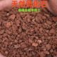 天然风化石颗粒风化土金弹子营养土扦插铺面石多肉盆景专用风化土