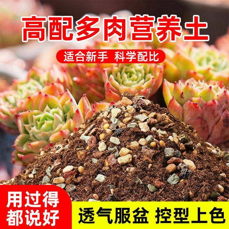 多肉专用颗粒土多肉植物营养土花土壤基质软饭麦石基质泥炭培养土,鲜花速递/花卉仿真/绿植园艺,家庭园艺肥料,淘宝优惠券,粉丝福利购,淘宝优惠卷