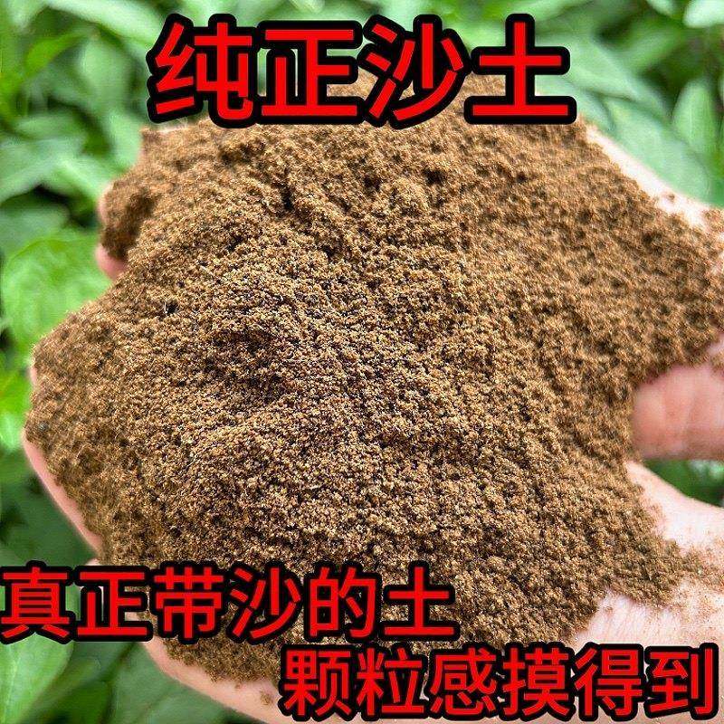 天然沙土沙壤土种菜养花盆栽花卉专用种植土细沙土壤田园土菜园土,鲜花速递/花卉仿真/绿植园艺,介质/营养土,淘宝优惠券,粉丝福利购,淘宝优惠卷