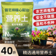 营养土通用型40斤养花种菜土土壤多肉绿萝种植土有机花土泥土肥料