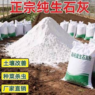 生石灰粉石灰块菜地鱼塘鸡鸭牛舍消毒杀菌驱虫刷树防潮去湿石灰石