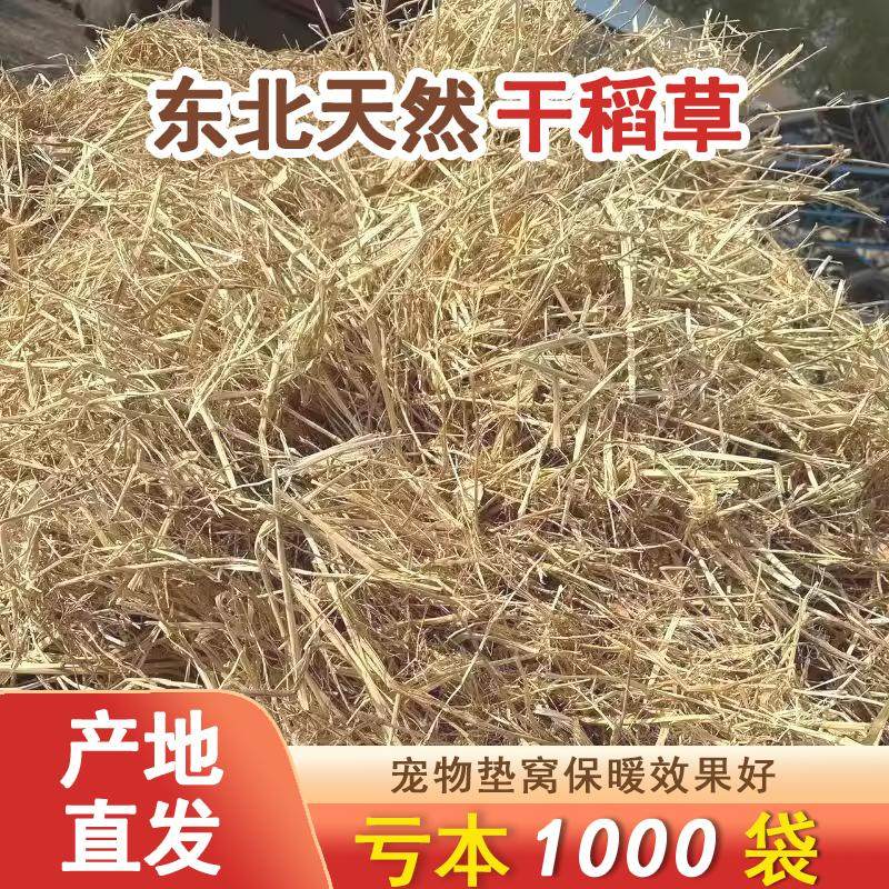 鹦鹉草鸽子窝垫草鸽子窝保暖鸭窝家用养鸭批发兔子垫窝干稻草干,鲜花速递/花卉仿真/绿植园艺,土壤覆盖物,淘宝优惠券,粉丝福利购,淘宝优惠卷