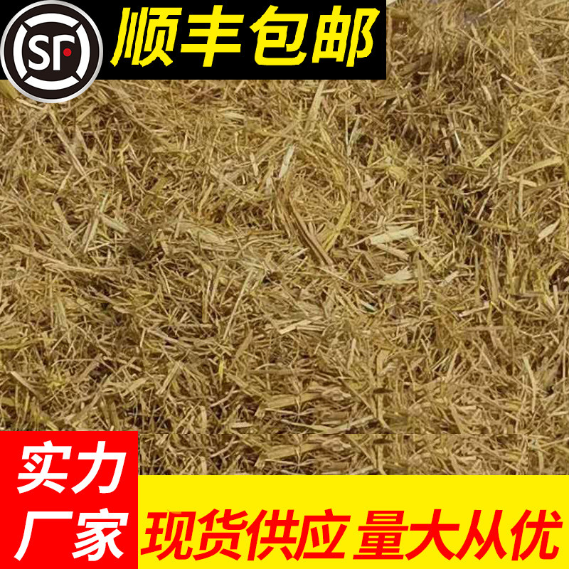 新稻草天然宠物鸡窝草干稻草牛羊猪饲料狗鸭窝草道具谷草秸秆,鲜花速递/花卉仿真/绿植园艺,土壤覆盖物,淘宝优惠券,粉丝福利购,淘宝优惠卷