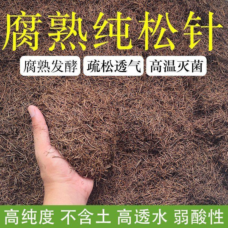 纯松针腐殖土君子兰专用土松针腐叶土腐熟透气兰花天然腐叶松针土,鲜花速递/花卉仿真/绿植园艺,土壤覆盖物,淘宝优惠券,粉丝福利购,淘宝优惠卷