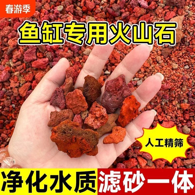 天然火山石颗粒精筛洗养多肉颗粒土兰花铺面鱼缸专用腾冲过滤材料,鲜花速递/花卉仿真/绿植园艺,土壤覆盖物,淘宝优惠券,粉丝福利购,淘宝优惠卷