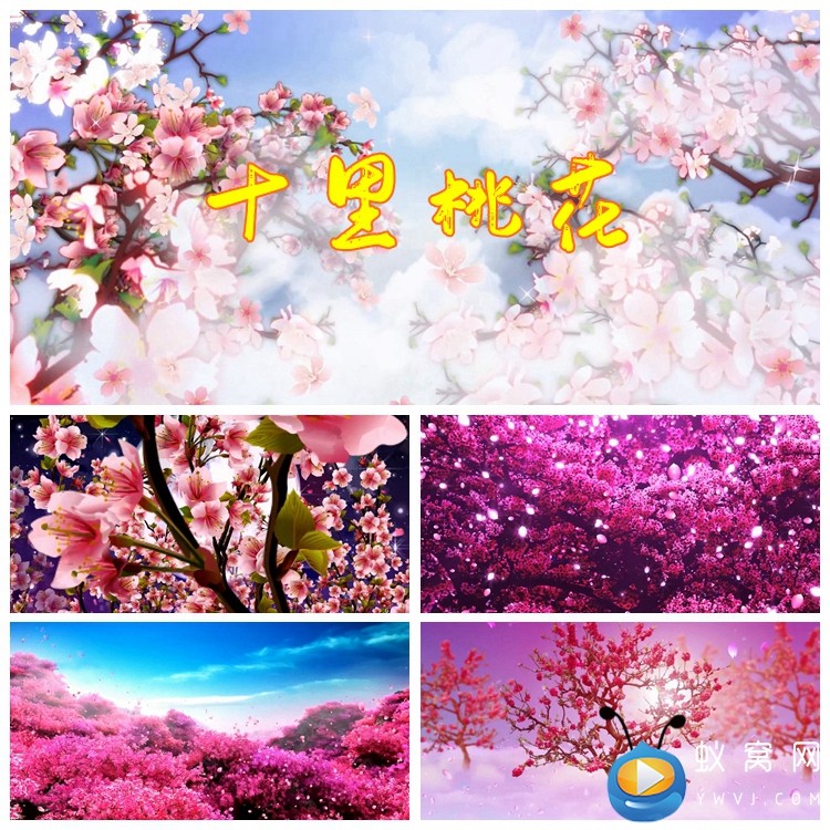 S1671 十里桃花 花瓣 花瓣舞蹈 LED节目大屏幕背景视频素材定制