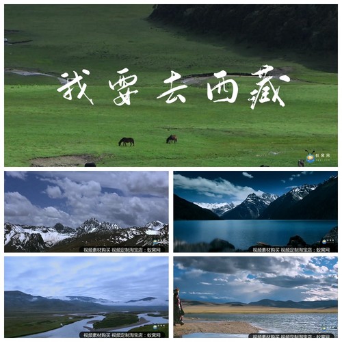 S1333 我要去西藏 MV歌曲配乐成品藏族LED雪山草原牧民视频素材