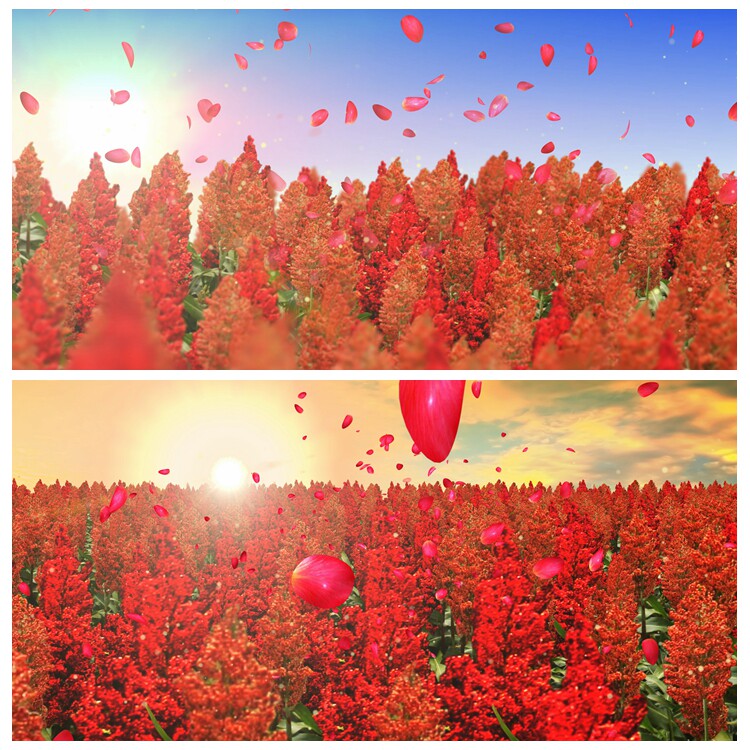 s3772《九儿》歌曲mv 舞蹈 led背景大屏视频素材