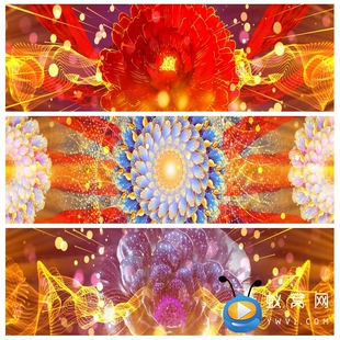 S5004 春海 花海  春晚大型开场舞晚会汇报演出 舞美背景视频素材