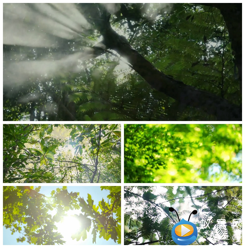 S2506 I love I light I share 伴奏歌曲MV大屏动态背景视频素材