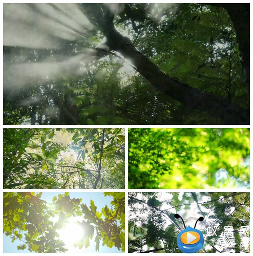 S2506 I love I light I share 伴奏歌曲MV大屏动态背景视频素材
