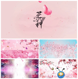 S1707 芒种 歌曲MV 配乐成品 晚会LED节目 视频素材制作